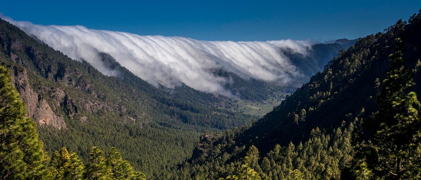 La Palma Natur