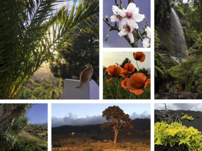 La Palma Natur