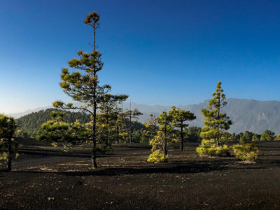 La Palma - Wanderinsel pur thumb